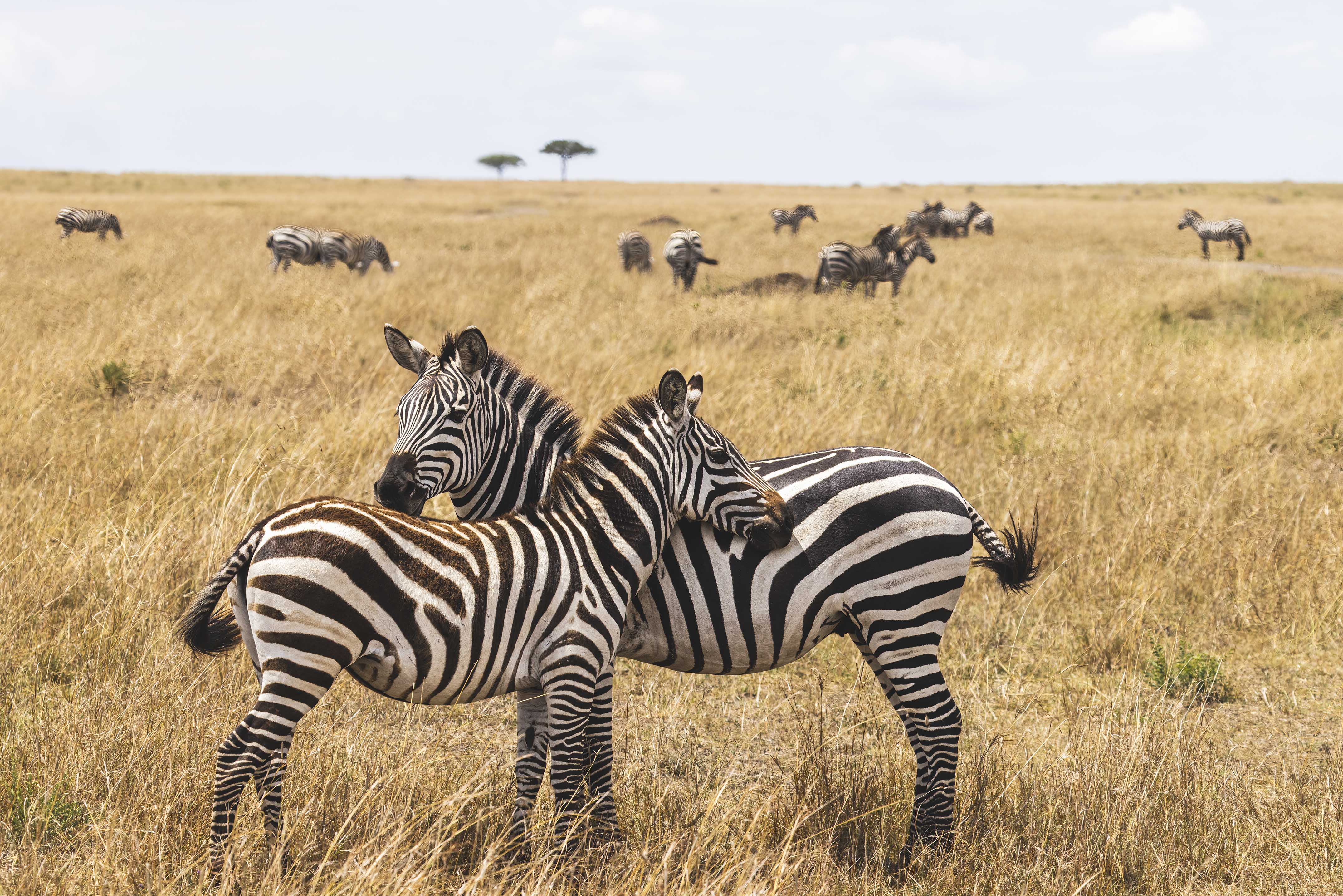 November 10, 2022-112956-Edit.jpg